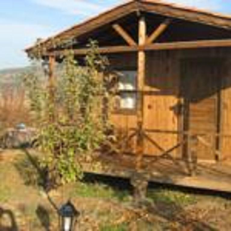 Salkim Konak Ve Agac Evler Konuk evi Selçuk Oda fotoğraf