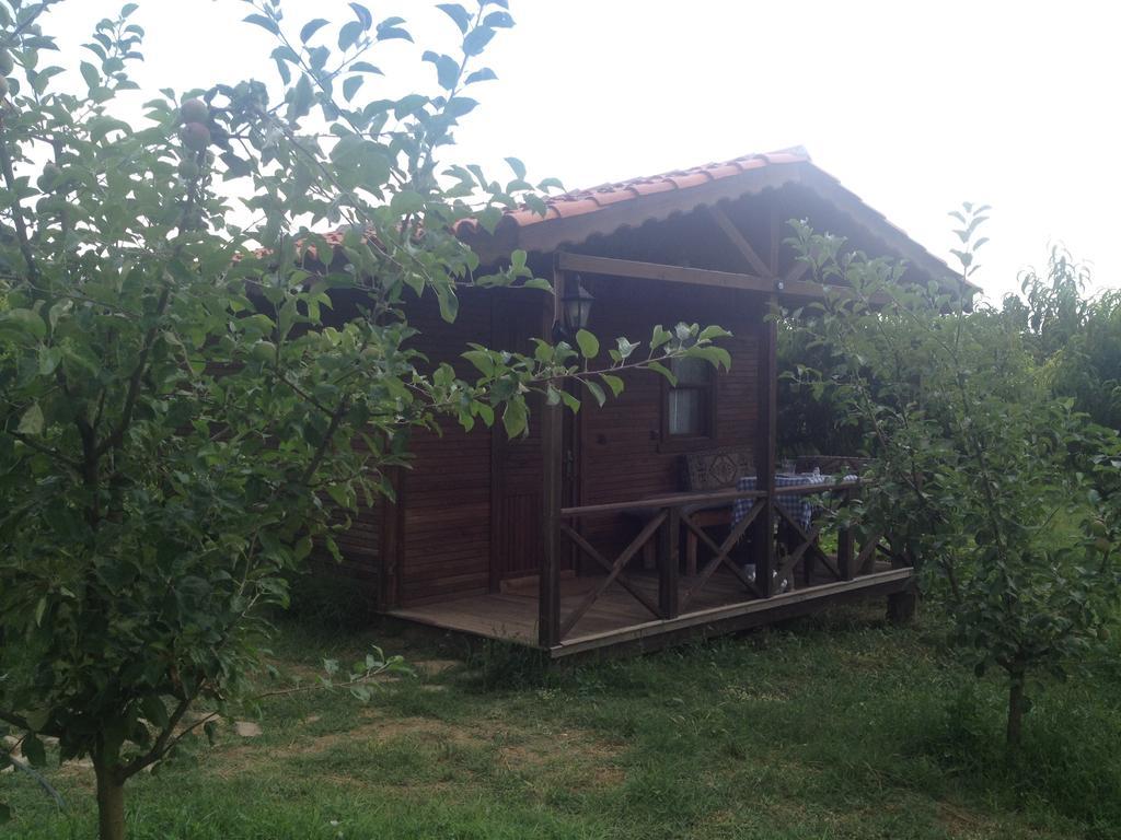 Salkim Konak Ve Agac Evler Konuk evi Selçuk Oda fotoğraf