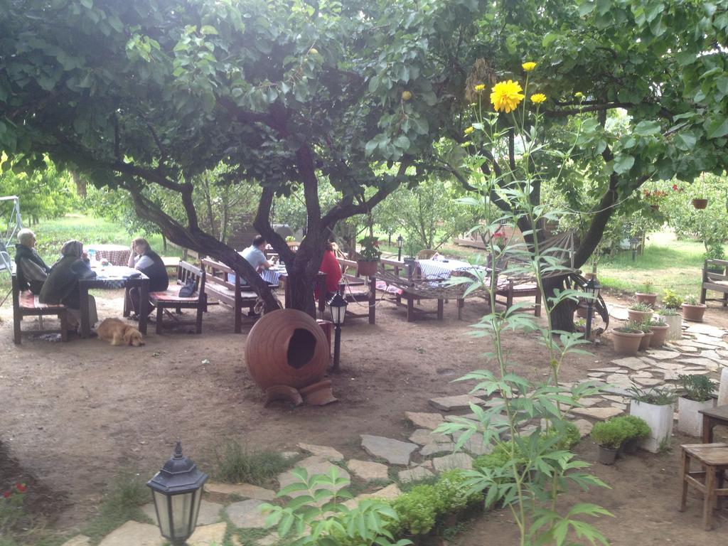 Salkim Konak Ve Agac Evler Konuk evi Selçuk Dış mekan fotoğraf