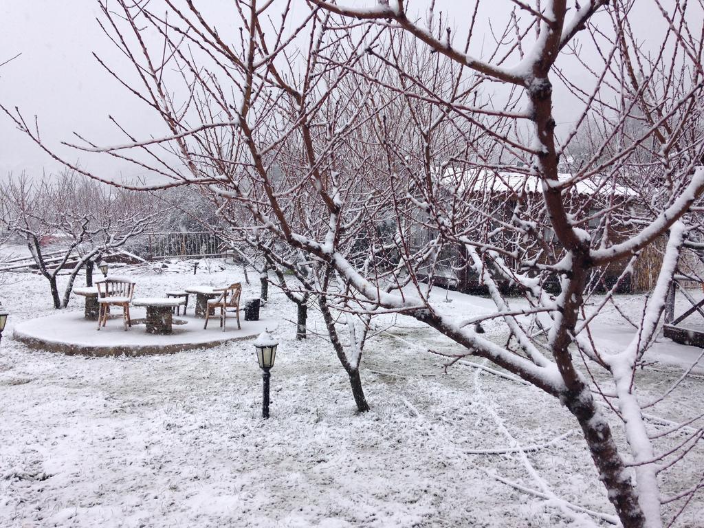 Salkim Konak Ve Agac Evler Konuk evi Selçuk Dış mekan fotoğraf