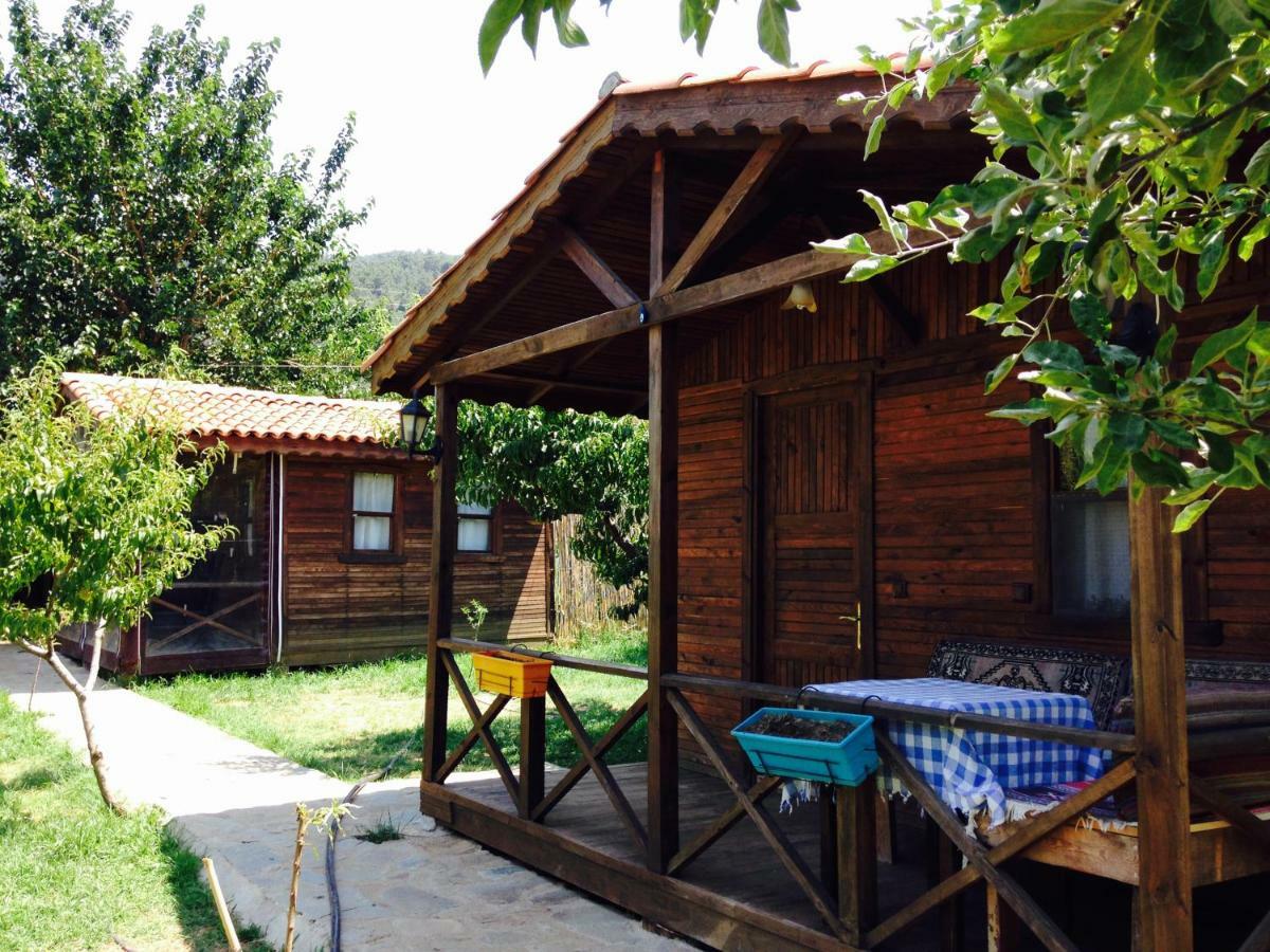 Salkim Konak Ve Agac Evler Konuk evi Selçuk Dış mekan fotoğraf